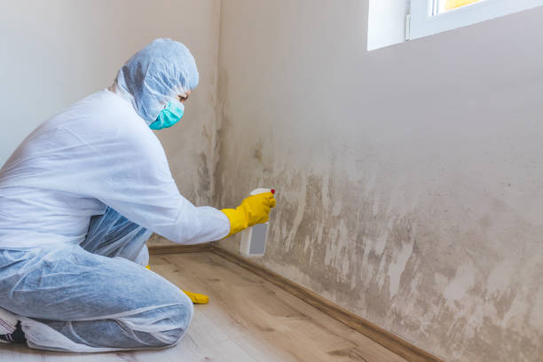 Crawl Space Mold Remediation treatment of floor joists in Henderson